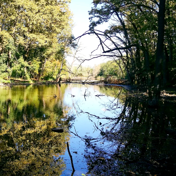 Centura Verde poate deveni realitate în acest an FOTO Alex Găvan