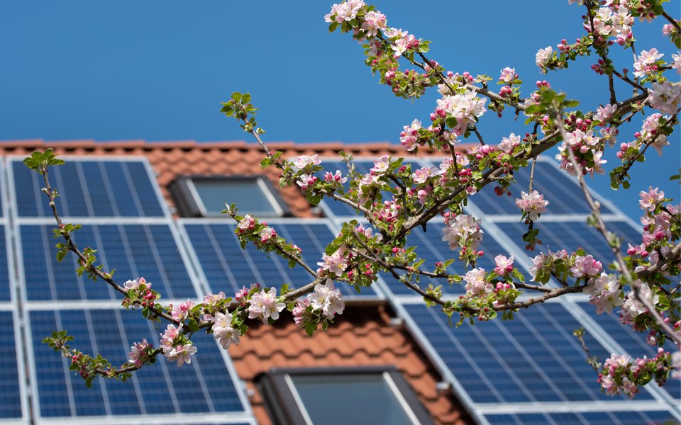 Merită montarea unui sistem fotovoltaic? Ghid util în luarea deciziei - 2024