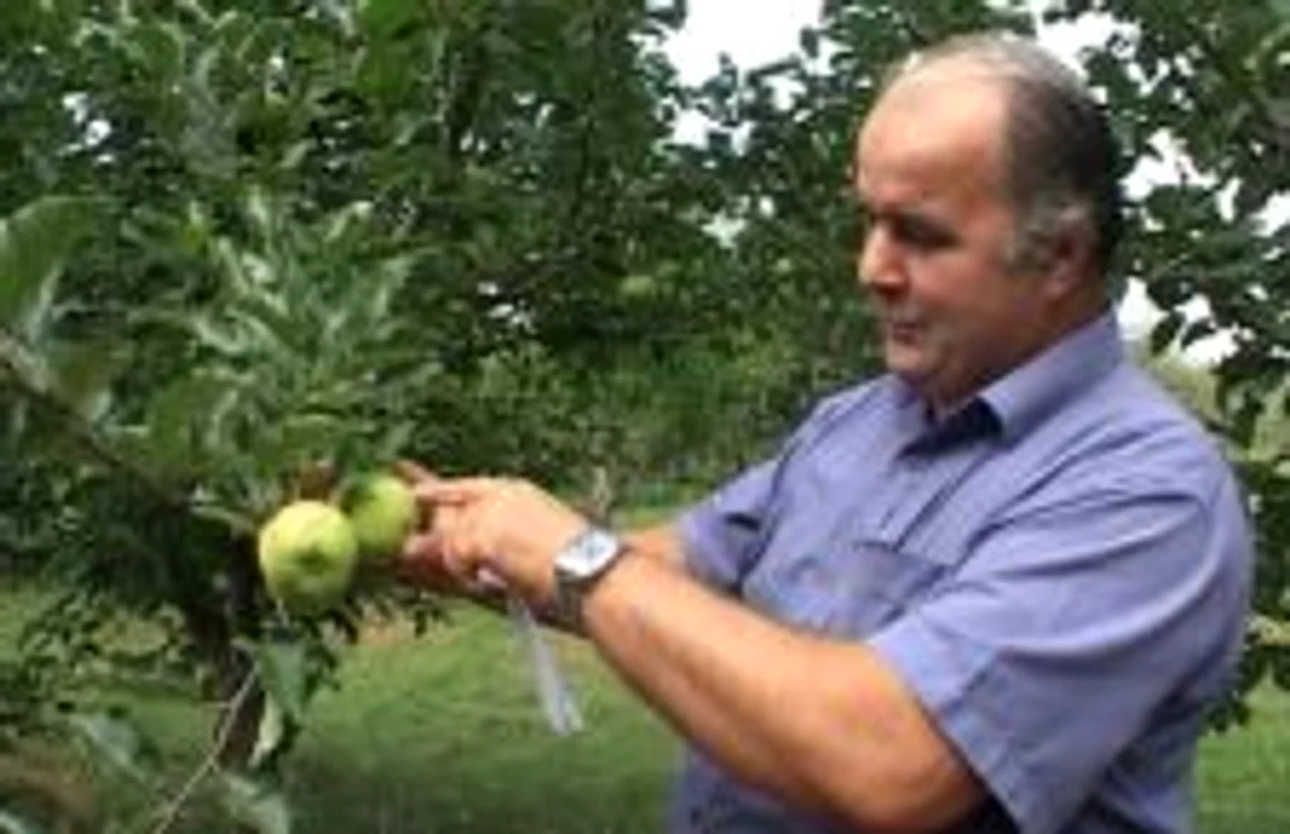 Primăvară ploioasă