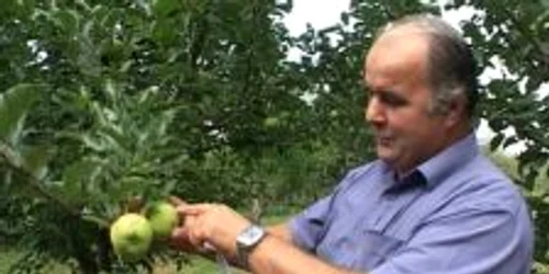 Primăvară ploioasă