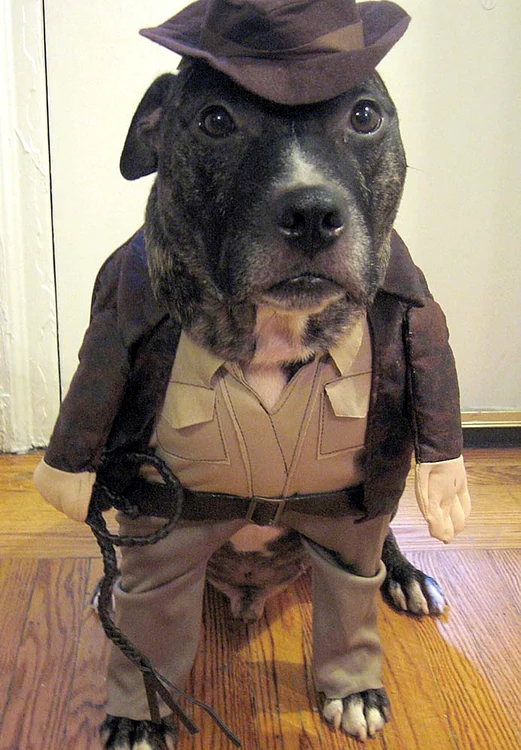 „Indiana Jones”
