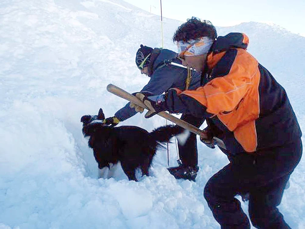”Eroul” de la Salvamont Argeș este un Border Collie de 2 ani și 4 luni
