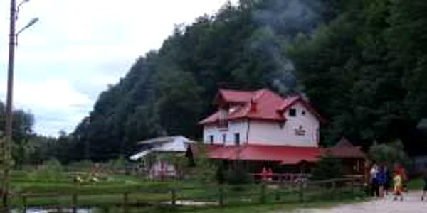 Păstrăvăria Brătioara vă așteaptă cu pește proaspăt