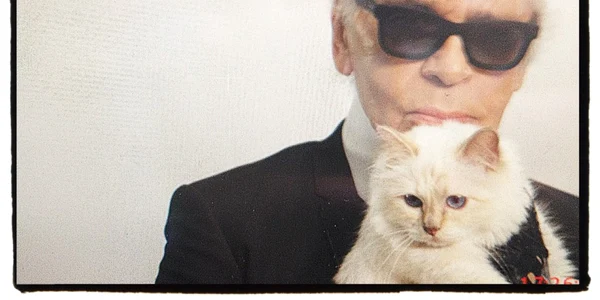 pisica lagerfeld