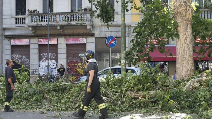 Mai mulţi copaci au căzut, în Lombardia. Foto: Profimedia
