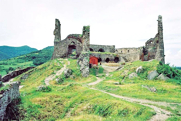 Cetatea Devei