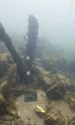 Cele mai mari părți rămase ale podului. Cei doi stâlpi de lemn ies la aproximativ un metru din albia râului și au un diametru de aproximativ 20 de centimetri (© Carlos Pinto / Kantonsarchäologie Solothurn)