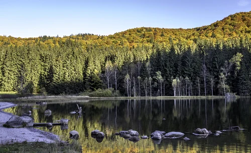 1 bear country jpg jpeg