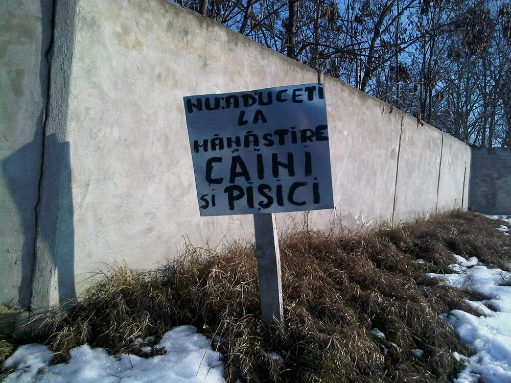Cu ochii n 3,14 jpeg