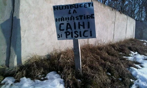 Cu ochii n 3,14 jpeg