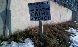 Cu ochii n 3,14 jpeg