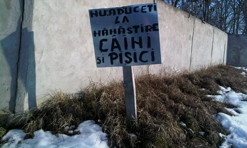 Cu ochii n 3,14 jpeg