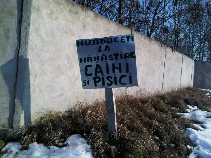Cu ochii n 3,14 jpeg