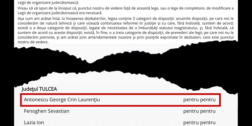 stenograma vot Crin antonescu jpg