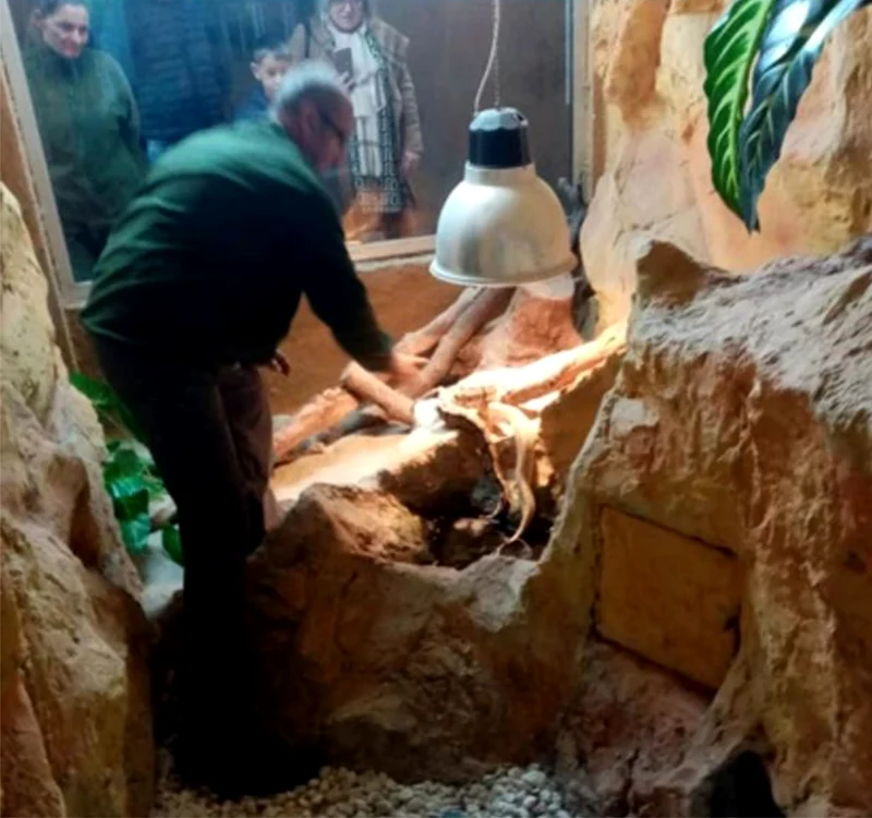 Doi dintre ei au supraviețuit și sunt la Zoo. Foto:  adevarul.ro
