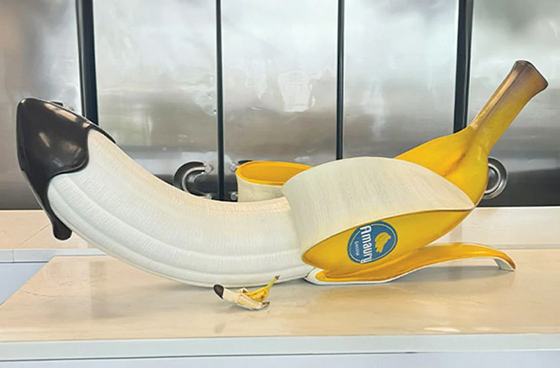 Sculptura are  168 cm lungime. SURSA FOTO: Guinness World Records