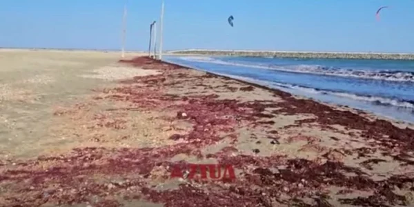 Alge roșii pe litoral Foto Captură video YouTube Ziua de Constanța jpg