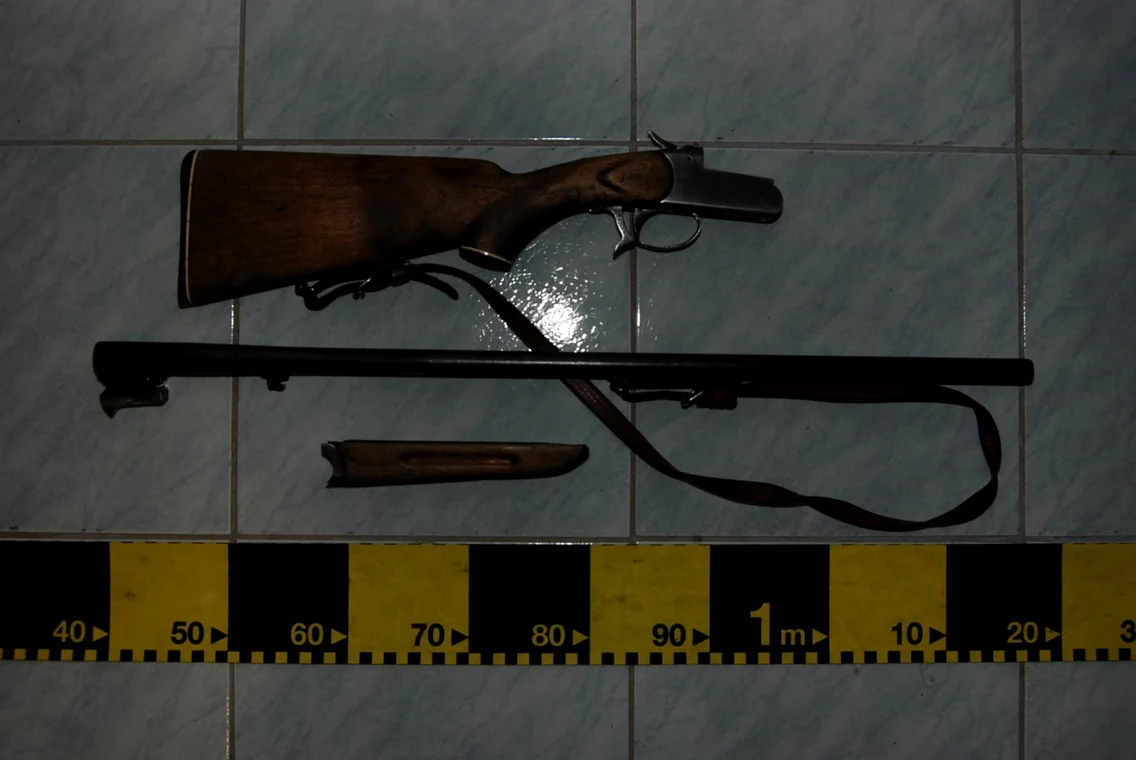 arma vinatoare