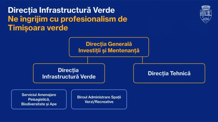 Organigrama Primăria Timisoara FOTO Primăria Timisoara