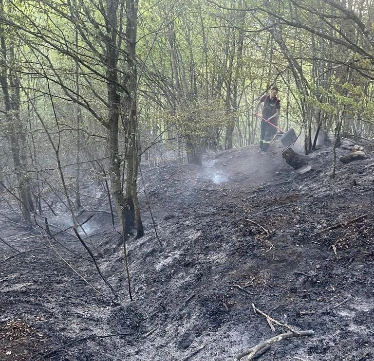 Incendiu de vegetaţie pe Valea Anieşului, în Bistriţa-Năsăud. Focul a pornit, cel mai probabil, de la o ţigară aruncată