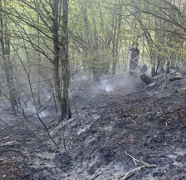 Incendiu de vegetaţie pe Valea Anieşului, în Bistriţa-Năsăud. Focul a pornit, cel mai probabil, de la o ţigară aruncată