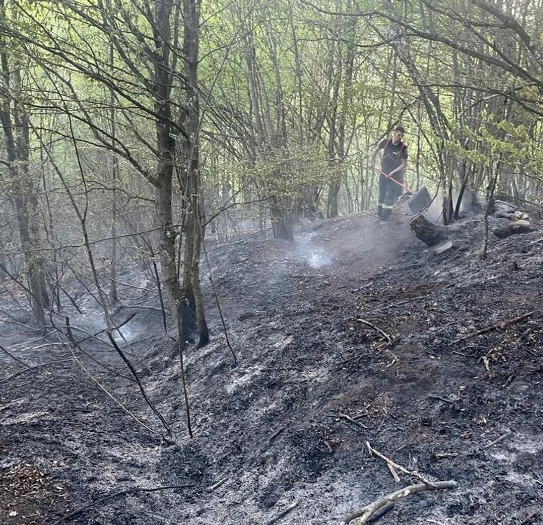 Un incendiu puternic a izbucnit miercuri seară pe Valea Anieşului. FOTO: bistrițeanul.ro.