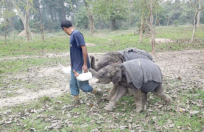 Doctorul Panjit Basumatary le-a făcut pijamale la comandă