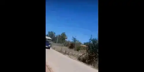 masina gif gif
