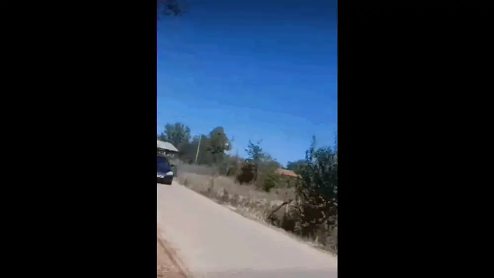 Tânăr, filmat în timp ce stă agățat de plafonul unei mașini aflate în mers. Autoritățile au fost sesizate