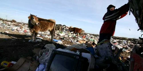 În lipsa unor centre de colectare şi reciclare, oamenii aruncă unde apucă aparatele electrocasnice uzate