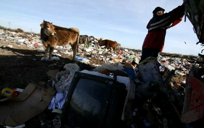 În lipsa unor centre de colectare şi reciclare, oamenii aruncă unde apucă aparatele electrocasnice uzate