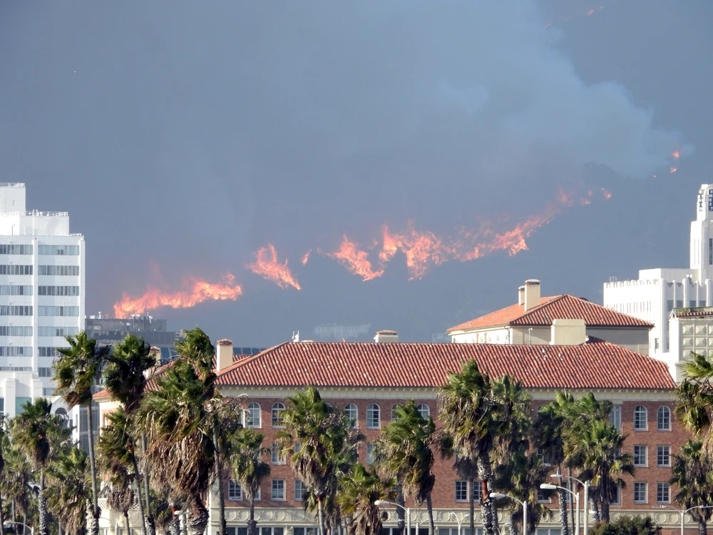 Incendiu în Los Angeles, Profimedia (8) jpg