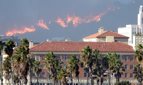 Incendiu în Los Angeles, Profimedia (8) jpg
