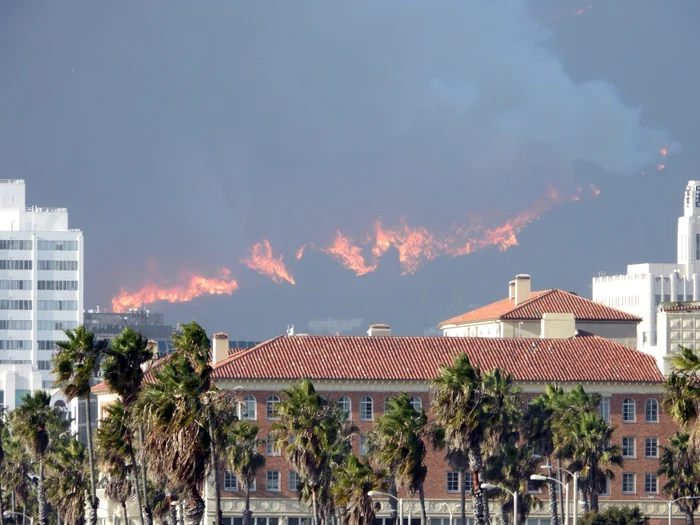 Incendiu în Los Angeles, Profimedia (8) jpg