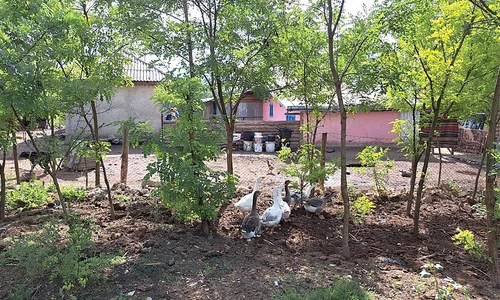 casa in botosani jpg
