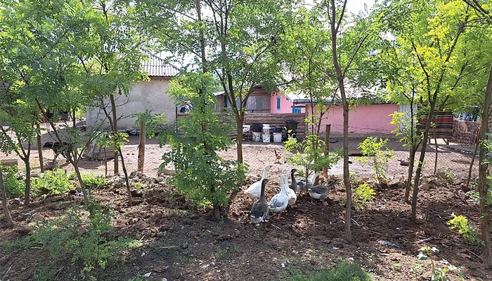 Casa cumpărată de primărie la Drăguşeni. FOTO Cosmin Zamfirache