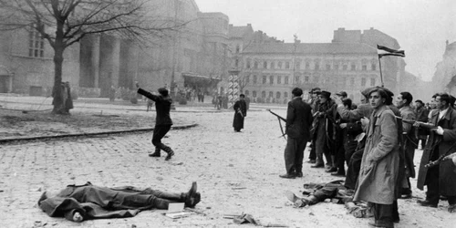 Urmele revoltelor studenţeşti de la Timişoara din 1956