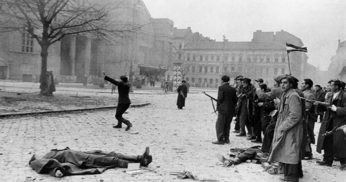 Urmele revoltelor studenţeşti de la Timişoara din 1956