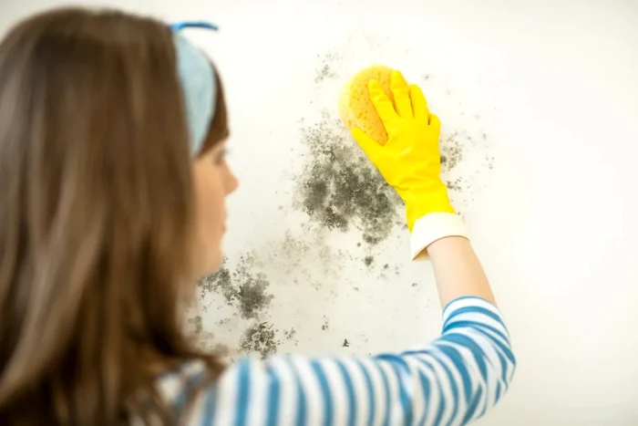 Scapă de mucegaiul de pe pereți în doar zece minute cu un produs făcut în casă.