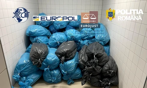 droguri reteaua Matrix jpeg