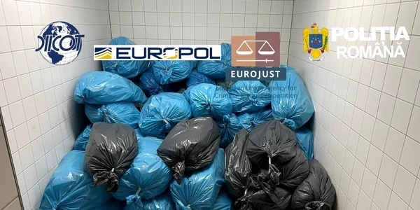 droguri reteaua Matrix jpeg