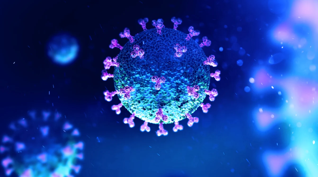 Datele preliminare ale OMS sugerează că există „un risc crescut de reinfectare” cu OmicronFoto: Shutterstock