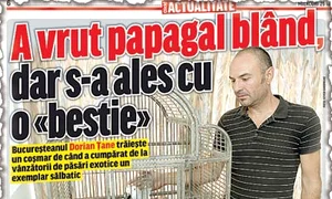 Vânzătoarea lui Coco, reclamată la Poliţie jpeg