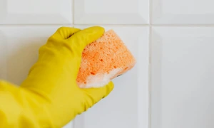 faianta baie pexels jpg