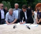 Parteneriat Poarta Sărutului