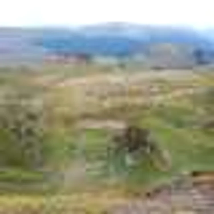 transalpina