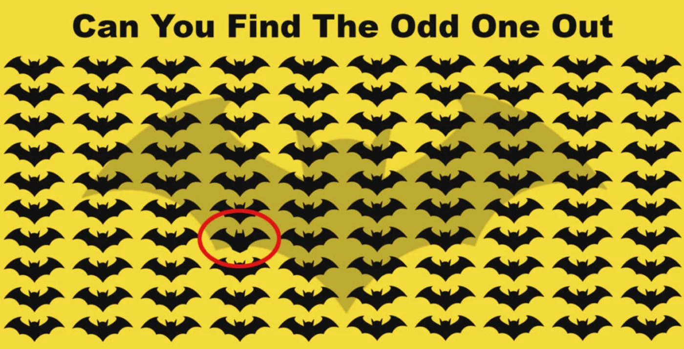 2 puzzle batman solved 1024x524 1 jpg jpeg