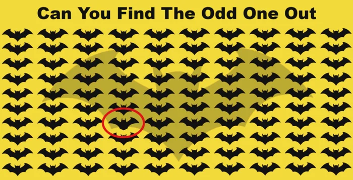 2 puzzle batman solved 1024x524 1 jpg jpeg