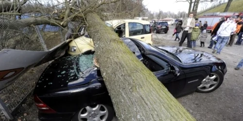 Şapte autoturisme au fost avariate din cauza unor copcai care s-au prăbuşit 