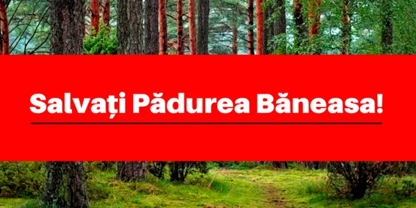 Salvaţi Pădurea Băneasa